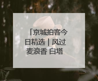 京城拍客今日精选｜风过麦浪香 白塔入云端