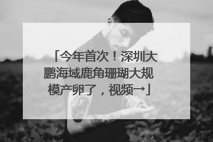 今年首次！深圳大鹏海域鹿角珊瑚大规模产卵了，视频→