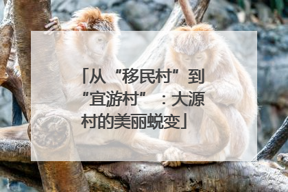 从“移民村”到“宜游村”：大源村的美丽蜕变