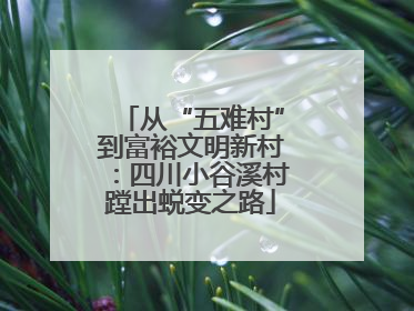 从“五难村”到富裕文明新村：四川小谷溪村蹚出蜕变之路