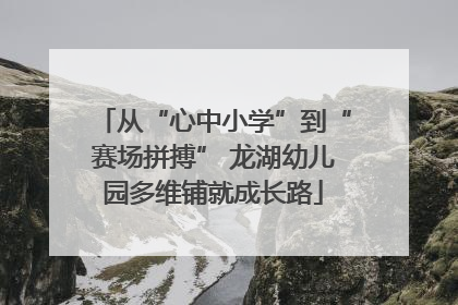 从“心中小学”到“赛场拼搏” 龙湖幼儿园多维铺就成长路