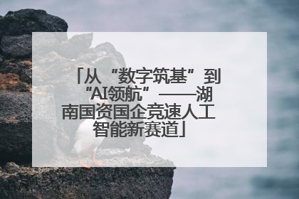 从“数字筑基”到“AI领航”——湖南国资国企竞速人工智能新赛道