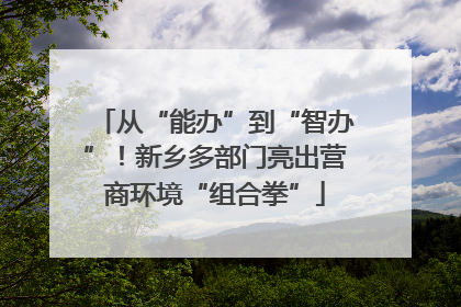 从“能办”到“智办”！新乡多部门亮出营商环境“组合拳”