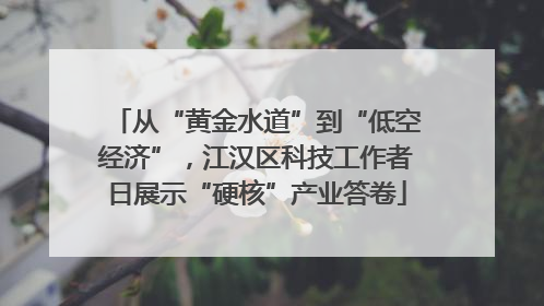 从“黄金水道”到“低空经济”，江汉区科技工作者日展示“硬核”产业答卷