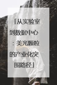 从实验室到数据中心：美光颗粒的产业化突围路径