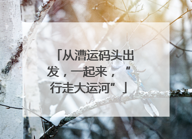 从漕运码头出发，一起来，“行走大运河”