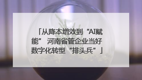 从降本增效到“AI赋能” 河南省管企业当好数字化转型“排头兵”