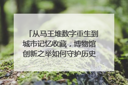 从马王堆数字重生到城市记忆收藏，博物馆创新之举如何守护历史、连接未来？