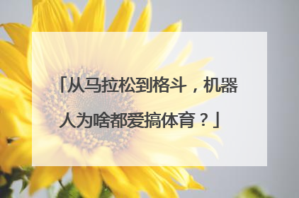 从马拉松到格斗，机器人为啥都爱搞体育？