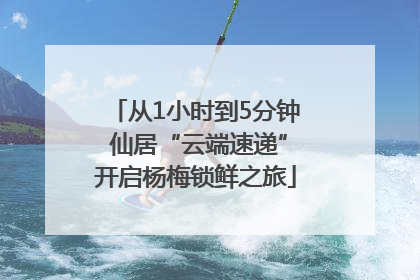 从1小时到5分钟 仙居“云端速递”开启杨梅锁鲜之旅