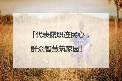 代表履职连民心，群众智慧筑家园