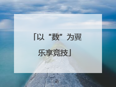 以“数”为翼 乐享竞技