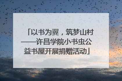 以书为翼，筑梦山村——许昌学院小书虫公益书屋开展捐赠活动