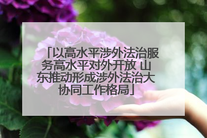 以高水平涉外法治服务高水平对外开放 山东推动形成涉外法治大协同工作格局