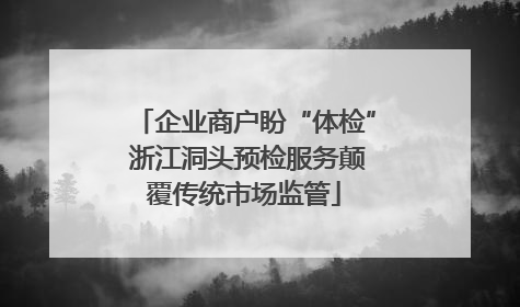 企业商户盼“体检” 浙江洞头预检服务颠覆传统市场监管