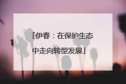 伊春：在保护生态中走向转型发展