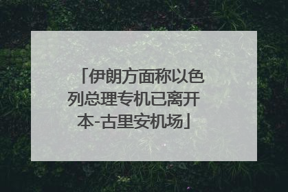 伊朗方面称以色列总理专机已离开本-古里安机场