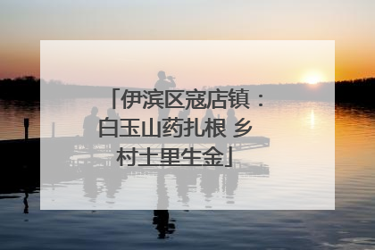 伊滨区寇店镇：白玉山药扎根 乡村土里生金