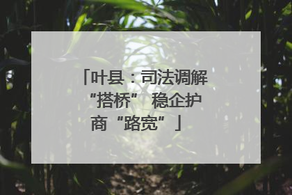 叶县:司法调解“搭桥” 稳企护商“路宽”