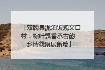 双牌县泷泊镇观文口村：粽叶飘香承古韵 乡情凝聚展新篇