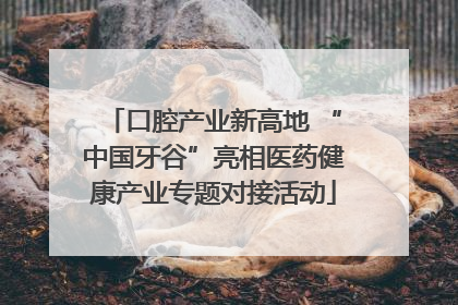 口腔产业新高地 “中国牙谷”亮相医药健康产业专题对接活动