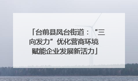 台前县凤台街道：“三向发力”优化营商环境 赋能企业发展新活力