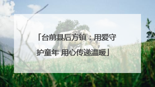 台前县后方镇：用爱守护童年 用心传递温暖