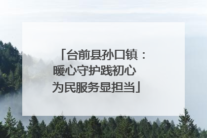 台前县孙口镇：暖心守护践初心 为民服务显担当