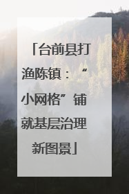 台前县打渔陈镇：“小网格”铺就基层治理新图景