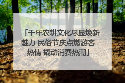 千年农耕文化尽显焕新魅力 民俗节庆点燃游客热情 撬动消费热潮