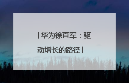 华为徐直军：驱动增长的路径