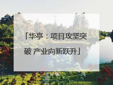华亭：项目攻坚突破 产业向新跃升
