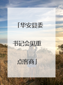 华安县委书记会见重点客商