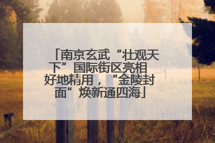 南京玄武“壮观天下”国际街区亮相 好地精用，“金陵封面”焕新通四海