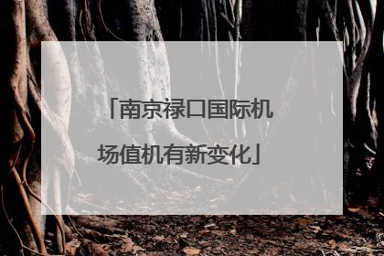 南京禄口国际机场值机有新变化