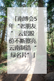 南博会5年“老朋友” 云铝股份不断擦亮云南制造“绿名片”