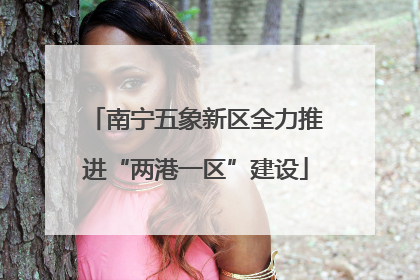 南宁五象新区全力推进“两港一区”建设