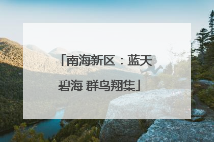 南海新区：蓝天碧海 群鸟翔集