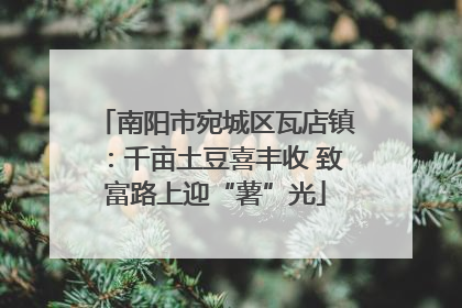 南阳市宛城区瓦店镇：千亩土豆喜丰收 致富路上迎“薯”光