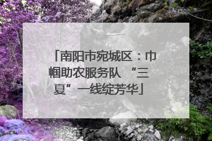 南阳市宛城区：巾帼助农服务队 “三夏”一线绽芳华
