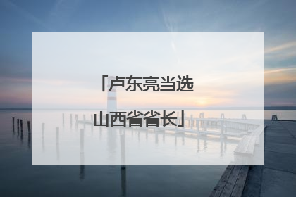 卢东亮当选山西省省长