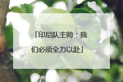 印尼队主帅：我们必须全力以赴
