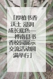 厚植书香沃土 浸润成长底色——桦南县书香校园展示交流活动圆满举行