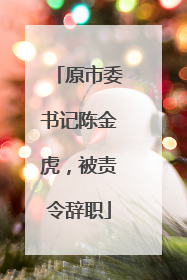 原市委书记陈金虎，被责令辞职