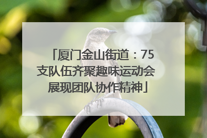 厦门金山街道：75支队伍齐聚趣味运动会 展现团队协作精神