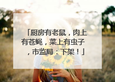 厨房有老鼠，肉上有苍蝇，菜上有虫子，市监局：下架！