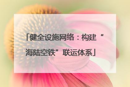健全设施网络：构建“海陆空铁”联运体系