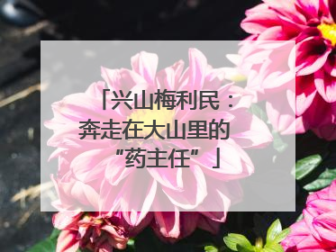 兴山梅利民：奔走在大山里的“药主任”