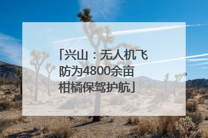 兴山：无人机飞防为4800余亩柑橘保驾护航