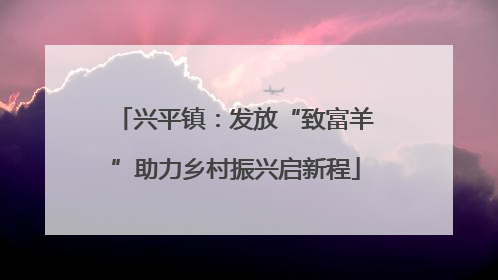 兴平镇：发放“致富羊”助力乡村振兴启新程